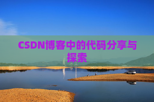CSDN博客中的代码分享与探索